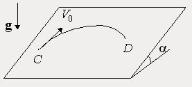 04-3-z.JPG
