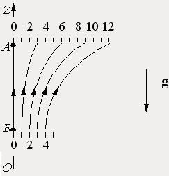 11-5-z.JPG